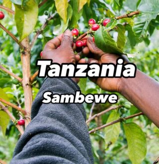 NOVÁ KÁVA... TANZANIA SAMBEWE AA natural Chuťový profil: Šťavnatá chuť peckovic, černého rybízu, čajové a květinové tóny,...